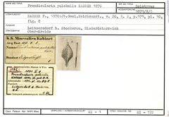 Karteikarte zum Holotyp von Frondicularia pulchella Karrer, 1870